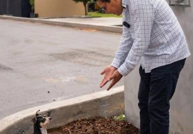 Arquitecto Juve junto al perrito “Chiche”, tras decidir adoptarlo al finalizar la grabación.