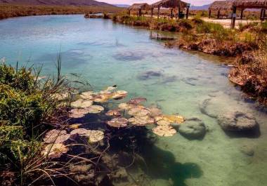 El proyecto implicará la construcción de pozas artificiales que se llenarán con el agua propia de la región, famosa por su claridad y abundancia de minerales.