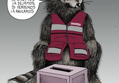 Morena: Reglas electorales