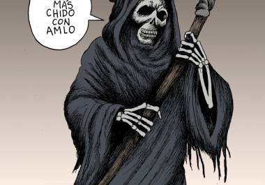 Su aliado consentido