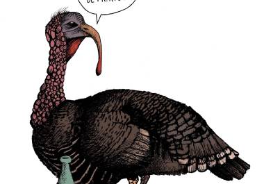 La cruda... realidad