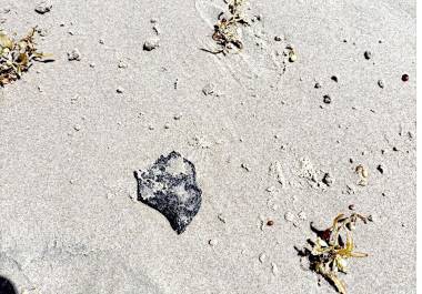 Manchas de chapopote encontradas por turistas en la Isla del Padre.