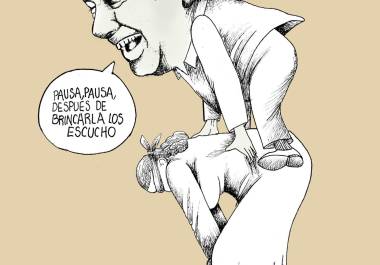 Reforma judicial: Burro castigado