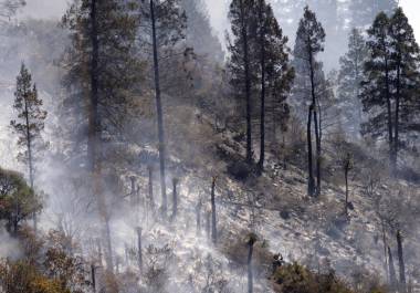 La mayoría de los daños se concentra en pastizales y matorrales.