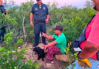 Un reporte al 911 activó un operativo de búsqueda durante la madrugada que permitió ubicar y auxiliar a un hombre de 30 años que no podía salir del monte en un ejido de Múzquiz, Coahuila.