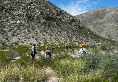 Madres buscadoras localizaron restos humanos en un predio rural de Matamoros.
