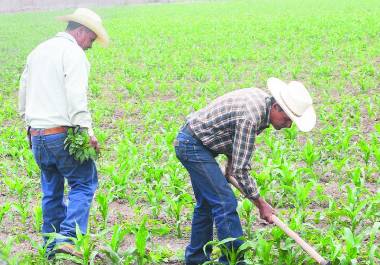 La regularización permitirá acceder a programas federales como el Programa Especial de Energía para el Campo en Materia de Energía Eléctrica de Uso Agrícola