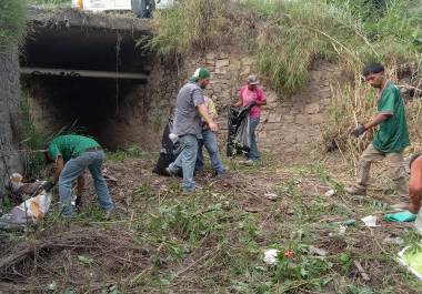 Las acciones se desarrollan en coordinación con las Direcciones de Protección Civil y Ecología.