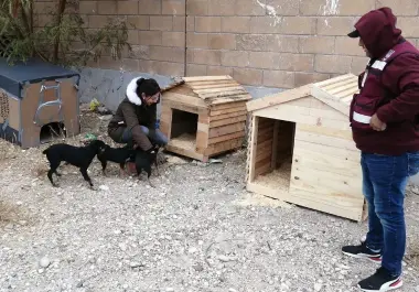 Diez nuevas ‘casitas’ serán habilitadas en Piedras Negras para proteger a las mascotas ante las altas temperaturas.