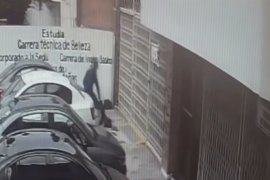La agresión contra el cachorro quedó registrada en videos de vigilancia de la zona.