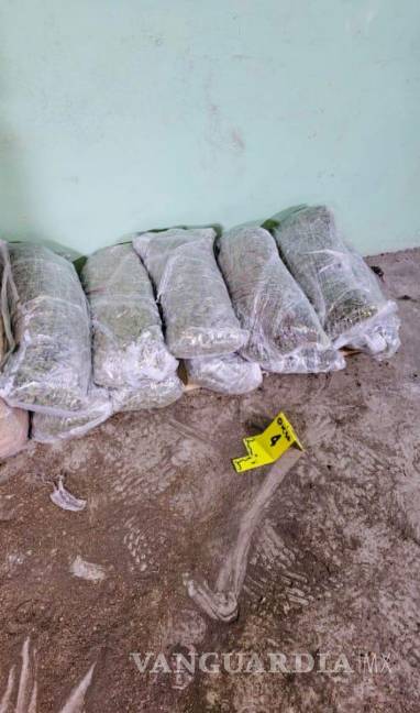 Nuevo León: Incautan más de 260 kilos de droga en cateos a viviendas en Apodaca
