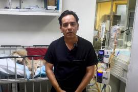 Alejandro Gutiérrez, integrante de la asociación Dignidad Animal, confirmó el fallecimiento de Rocky, cuyo caso provocó indignación nacional y derivó en un proceso penal contra la presunta responsable.
