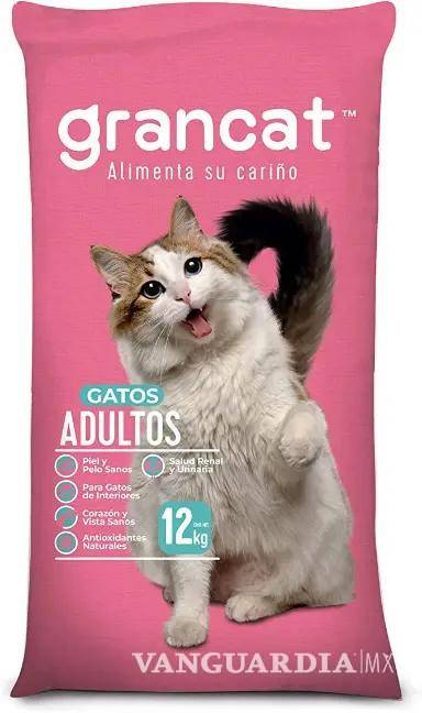 $!¿Hay gato encerrado en las croquetas para tu ‘michi’?... Según Profeco, estas son las marcas más engañosas y dañinas para tu mascota