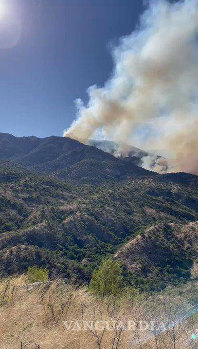 $!Más de 130 elementos del Ejército, de la Guardia Nacional y de la Comisión Nacional Forestal (Conafor), al igual que voluntarios, combaten el fuego