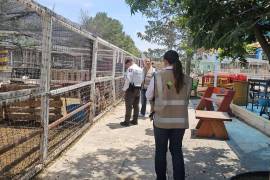 Elementos de Propaec, Policía Municipal, SMA y Fiscalía del Estado realizaron un operativo en conjunto.