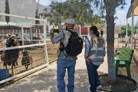 En el operativo se detectaron condiciones inadecuadas para los animales en exhibición.