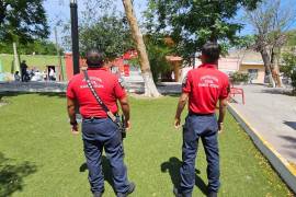 Personal de Protección Civil realizó recorridos para atender reportes de árboles en riesgo en plazas públicas de Ramos Arizpe.