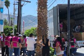 Un envío no custodiado llegó a Torreón, con los materiales electorales que van a ser usados el 2 de junio en la jornada electoral.