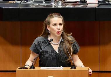 Sostuvo que el Estado debe garantizar información, atención médica y respeto a la dignidad de las mujeres.