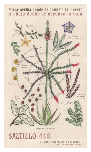 $!Las plantas nativas de Saltillo ilustran el póster (tejido) del aniversario 448 de la ciudad