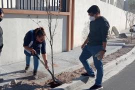En el fraccionamiento Vistas de Peña Sur, en Saltillo, Grupo Ruba implementó una campaña de reforestación involucrando a los vecinos, que participaron adoptando un árbol. FOTO: CORTESÍA
