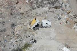 Elementos de la Policía Ambiental atendieron el reporte ciudadano en Brisas Poniente.