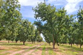 Productores de municipios como Jiménez, Valle de Allende y Camargo, Chihuahua, han mostrado interés en conocer el sistema y evaluar su aplicación ante la presión sobre los recursos hídricos.