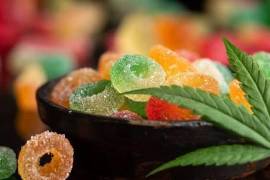 Cinco menores de edad fueron hospitalizados en Lerdo tras presentar malestares y dar positivo a cannabis, luego de presuntamente consumir unas gomitas.