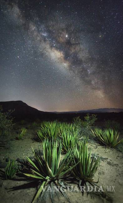 $!Comparte Daniel Bates la vitalidad del desierto en el MUDE