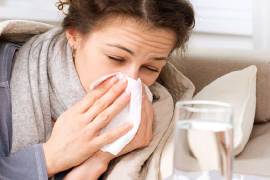 Cambio climático propicia enfermedades infecciosas, señala investigadora