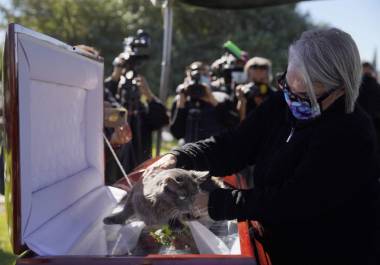Maldonado era rescatusta de animales, según sus allegados por lo que llevaron a sus mascotas para darle el último adiós a la periodista mexicana.
