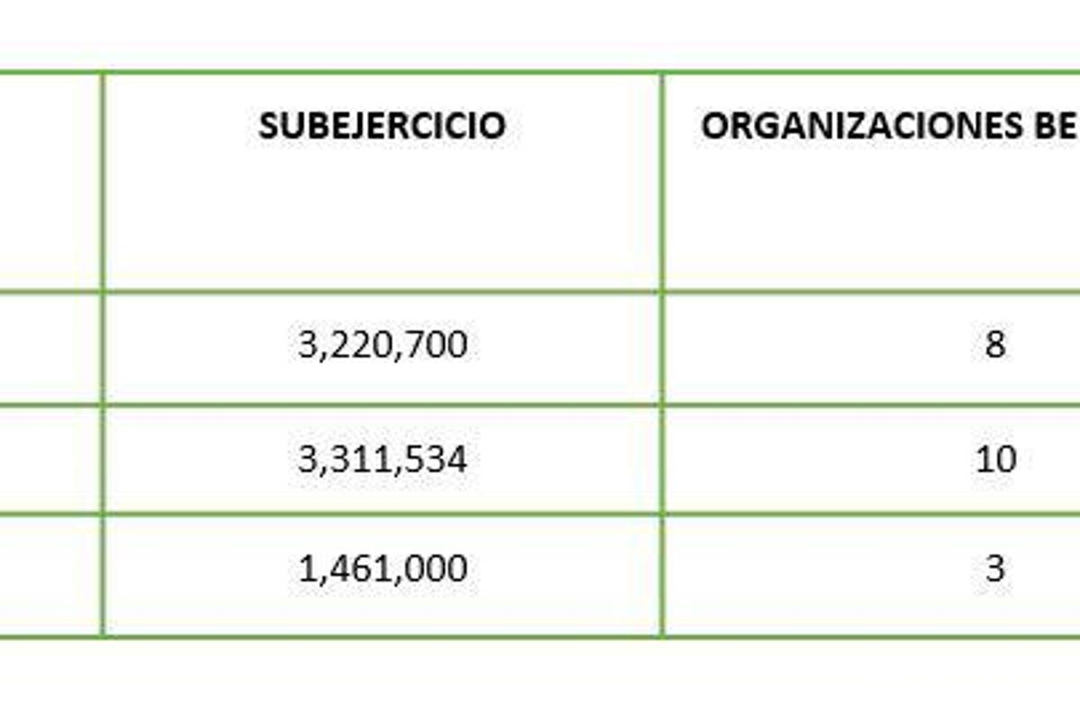 Asociaciones civiles denuncian falta de apoyo del DIF de Coahuila y el subejercicio del presupuesto