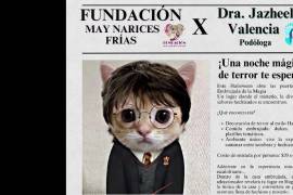 La experiencia mágica y escalofriante se llevará a cabo en Tabasco #356, Col. República, los días 25 y 31 de octubre, con actividades para toda la familia.