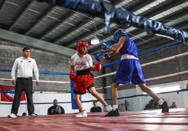 Las sedes fueron el Multideportivo El Sarape, Pueblo Insurgentes y el domo del Instituto Estatal del Deporte.