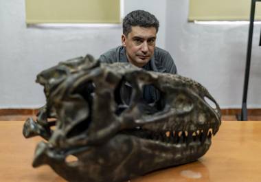 Los paleontólogos aficionados son clave en hallazgos de fósiles de dinosaurios en México: Héctor Rivera, investigador del Museo del Desierto