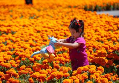 Aunque el 1 y 2 de noviembre son fechas emblemáticas por su valor cultural, no están contempladas como días de descanso oficial.