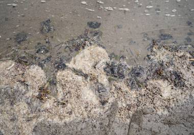Las organizaciones ambientales alertaron que cualquier falla a miles de metros bajo el mar puede convertirse en un desastre ambiental.