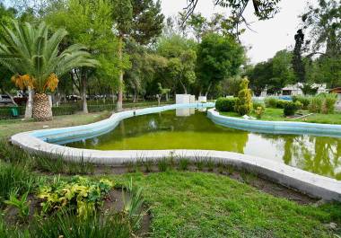 En el lugar se detectaron restos de ramas y lama en distintas zonas del lago.
