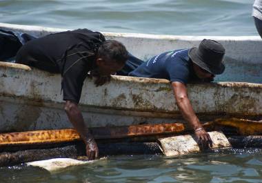 Organizaciones advirtieron sobre la muerte de especies como tortugas y manatíes y riesgos para familias pesqueras.