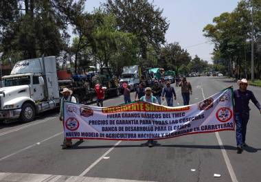 Integrantes de diversos frentes nacionales del campo se manifestaron marchando por Paseo de la Reforma