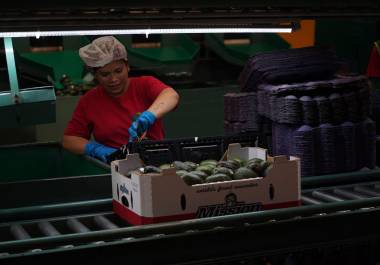 El desempeño durante el primer trimestre de 2026 dependerá en gran medida de la evolución del entorno económico nacional e internacional.