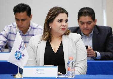 Señalan a la dirigente actual, Elisa Maldonado, de promover una elección acotada al voto de consejeros.