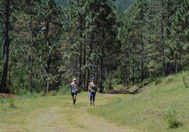 Los bosques de Arteaga son famosos a nivel nacional; a este Pueblo Mágico se le conoce como “La Suiza de México”.