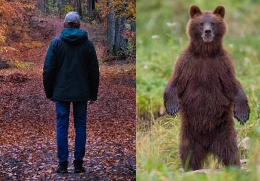 En un curioso planteamiento, las mujeres mostraron su preferencia por estar con un oso