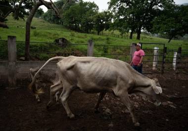 El senador insistió en que el campo requiere medidas concretas y reiteró su llamado a atender el problema.