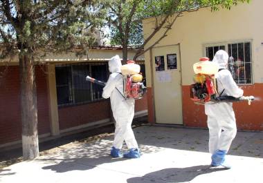 Autoridades estatales han impulsado acciones de fumigación para la reducción de estas cifras.