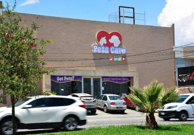 Instituciones de salud veterinaria de Saltillo y el estado exigen garantías legales frente al abandono de mascotas en clínicas y campañas de odio en redes sociales.
