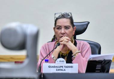 La expresidenta consejera del INE, Guadalupe Taddei, testó algunas partes de su declaración patrimonial.