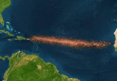 El Gran Cinturón de Sargazo del Atlántico se ha convertido en un fenómeno ambiental de gran escala que preocupa a la comunidad científica.