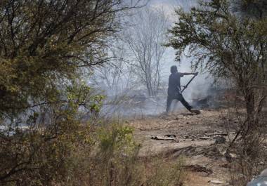 Protección Civil de Saltillo contabiliza alrededor de 90 incendios en predios baldíos.